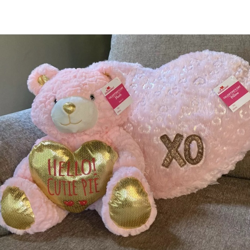 Teddy Bear and Pillow